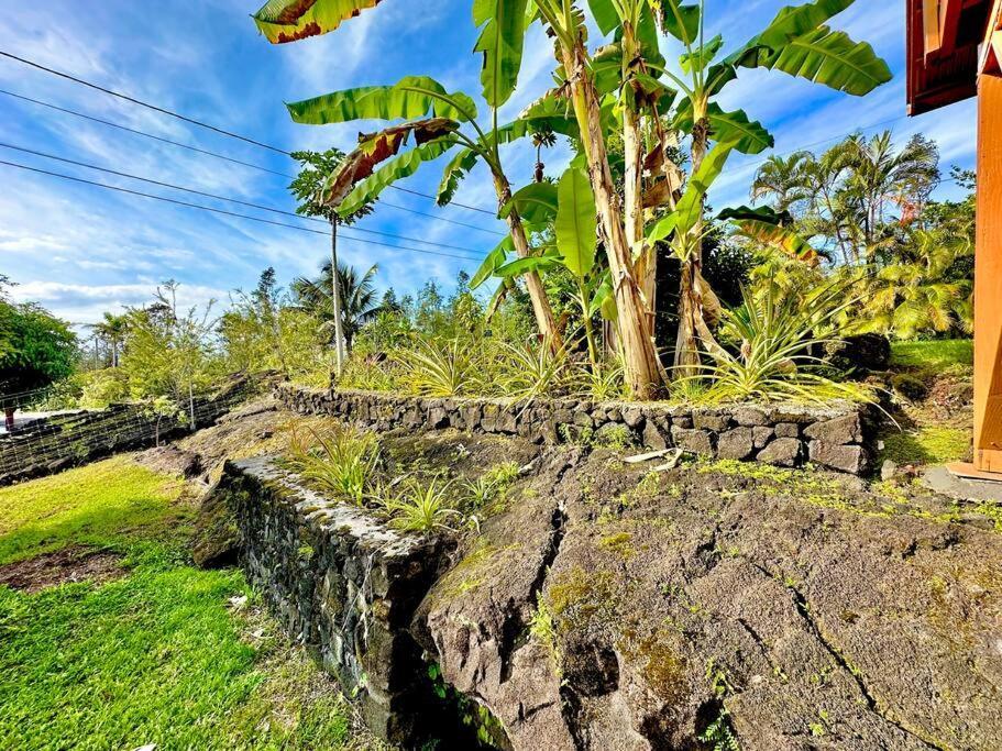 Puna Zen Botanical Garden Retreat Holiday home Keaau