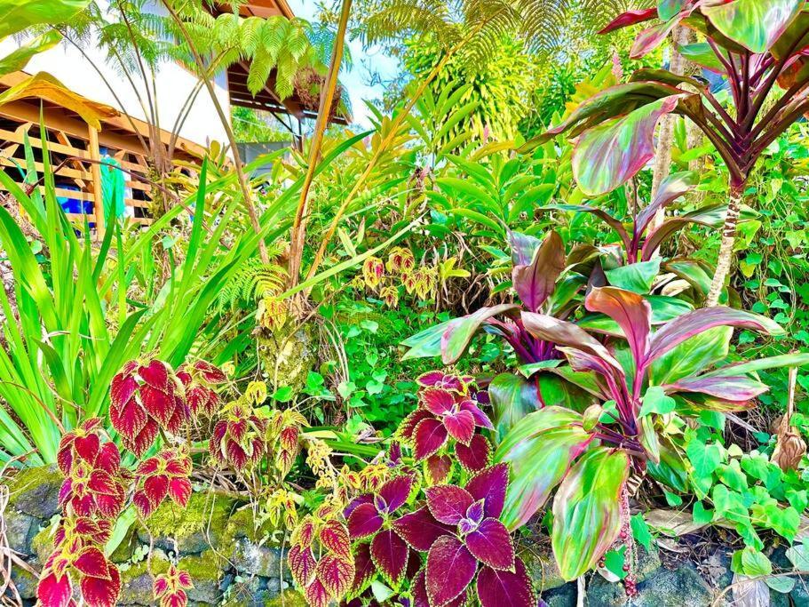 Puna Zen Botanical Garden Retreat Holiday home *